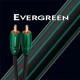 AUDIOQUEST EVERGREEN CABLE MODULATION RCA 