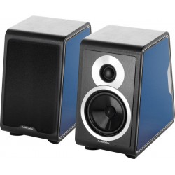 SET DE FLANCS LATERAUX POUR ENCEINTES BIBLIOTHÈQUE SONUS FABER CHAMELEON B