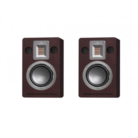 AUDIOVECTOR QR WALL BLANC LAQUE ENCEINTES MURALES EFFETS LA PAIRE