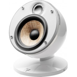 focal dome flax enceinte