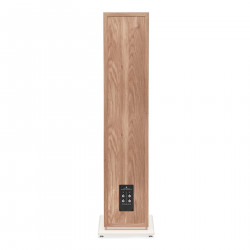 TRIANGLE BOREA BR10 ENCEINTES COLONNE LA PAIRE