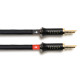ADVANCE PARIS LINK Speaker CABLE HP MONTE BANANE BFA 2X3M