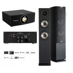 CABASSE PACK AMP 240 S AMPLI CONNECTE + ENCEINTES JERSEY MC170 EBENE LA PAIRE
