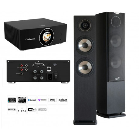 CABASSE PACK AMP 240 S AMPLI CONNECTE + ENCEINTES JERSEY MC170 EBENE LA PAIRE