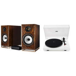 TRIANGLE CAPELLA NEBULEUSE BRUNE + PLATINE VINYLE LUNAR 3 NOIRE