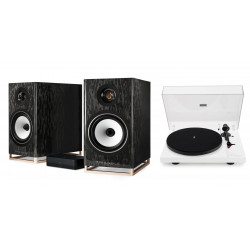 TRIANGLE CAPELLA NEBULEUSE BRUNE + PLATINE VINYLE LUNAR 3 NOIRE