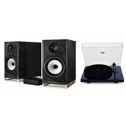 TRIANGLE CAPELLA NEBULEUSE BRUNE + PLATINE VINYLE LUNAR 3 NOIRE
