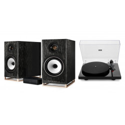 TRIANGLE CAPELLA NEBULEUSE BRUNE + PLATINE VINYLE LUNAR 3 NOIRE