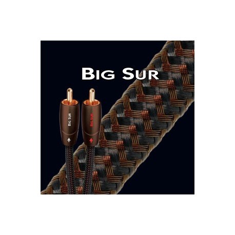 AUDIOQUEST BIG SUR CABLE MODULATION RCA AUDIOQUEST BIG SUR CABLE MODULATION RCA