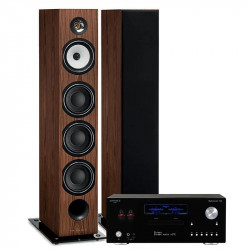 PACK TRIANGLE AUSTRALE EZ CHATAIGNER + ADVANCE PARIS MY CONNECT 150 + CABLE HP 2X5M + BLUETOOTH