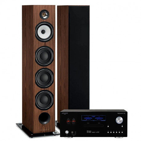 PACK TRIANGLE AUSTRALE EZ CHATAIGNER + ADVANCE PARIS MY CONNECT 150 + CABLE HP 2X5M + BLUETOOTH