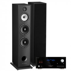 PACK TRIANGLE AUSTRALE EZ CHATAIGNER + ADVANCE PARIS MY CONNECT 150 + CABLE HP 2X5M + BLUETOOTH