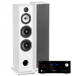 PACK TRIANGLE AUSTRALE EZ CHATAIGNER + ADVANCE PARIS MY CONNECT 150 + CABLE HP 2X5M + BLUETOOTH