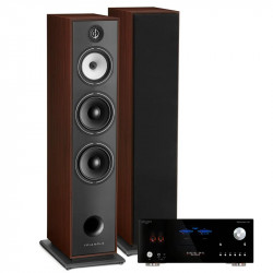 PACK TRIANGLE AUSTRALE EZ CHATAIGNER + ADVANCE PARIS MY CONNECT 150 + CABLE HP 2X5M + BLUETOOTH