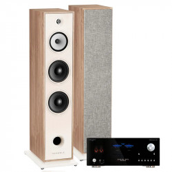 PACK TRIANGLE AUSTRALE EZ CHATAIGNER + ADVANCE PARIS MY CONNECT 150 + CABLE HP 2X5M + BLUETOOTH