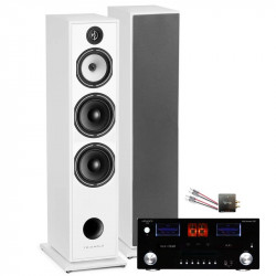 PACK TRIANGLE AUSTRALE EZ CHATAIGNER + ADVANCE PARIS MY CONNECT 150 + CABLE HP 2X5M + BLUETOOTH