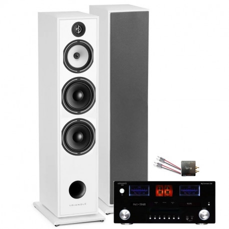 PACK TRIANGLE AUSTRALE EZ CHATAIGNER + ADVANCE PARIS MY CONNECT 150 + CABLE HP 2X5M + BLUETOOTH