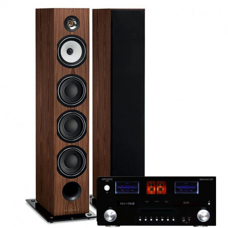 PACK TRIANGLE AUSTRALE EZ CHATAIGNER + ADVANCE PARIS MY CONNECT 150 + CABLE HP 2X5M + BLUETOOTH