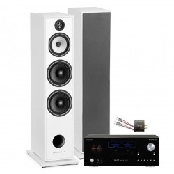 PACK TRIANGLE AUSTRALE EZ CHATAIGNER + ADVANCE PARIS MY CONNECT 150 + CABLE HP 2X5M + BLUETOOTH