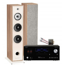 PACK TRIANGLE AUSTRALE EZ CHATAIGNER + ADVANCE PARIS MY CONNECT 150 + CABLE HP 2X5M + BLUETOOTH