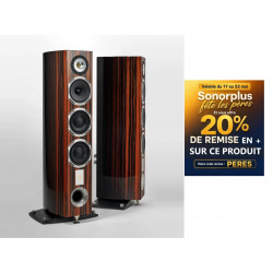 TRIANGLE MAGELLAN CELLO 40th enceintes colonnes la paire