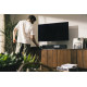 Cambridge Audio EVO ONE Enceinte connectée
