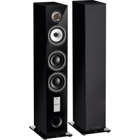 TRIANGLE GAIA EZ NOIR MAT ENCEINTES COLONNES LA PAIRE