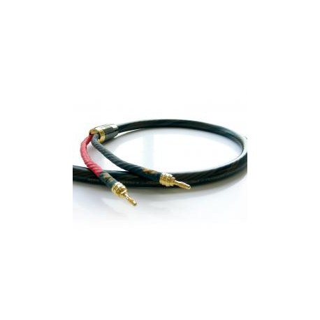 REAL CABLE HD TDC600 - Gamme MASTER 2X3 METRES REAL CABLE HD TDC600 - Gamme MASTER 2X3 METRES